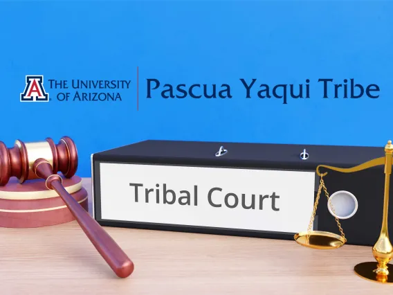 Professional Development Certificate in Tribal Courts and Justice Administration