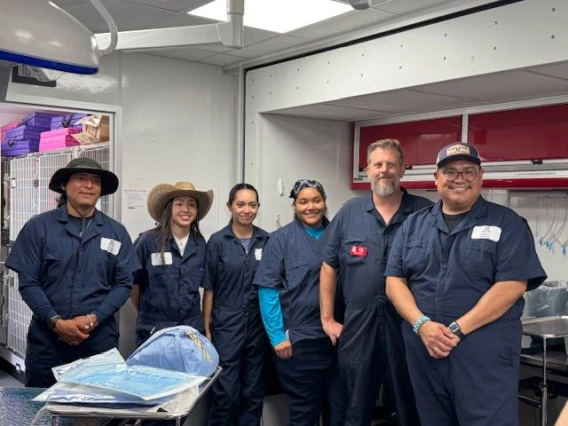 Pathways to Vet Med: Immersive Summer Experience at UArizona
